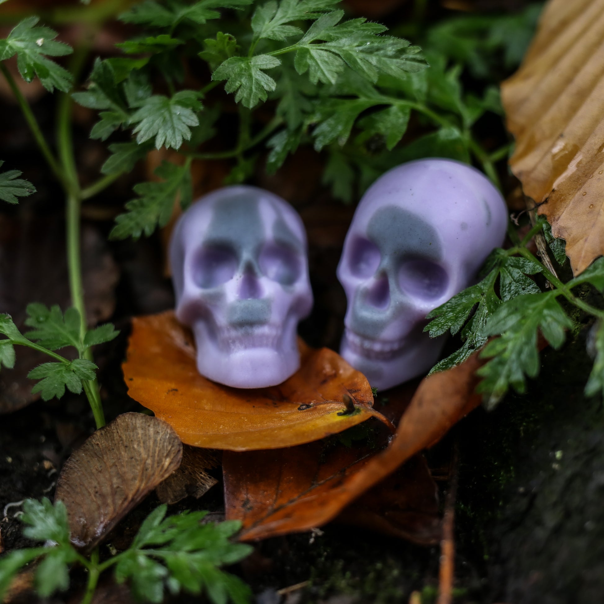 Half Skull Wax Melts