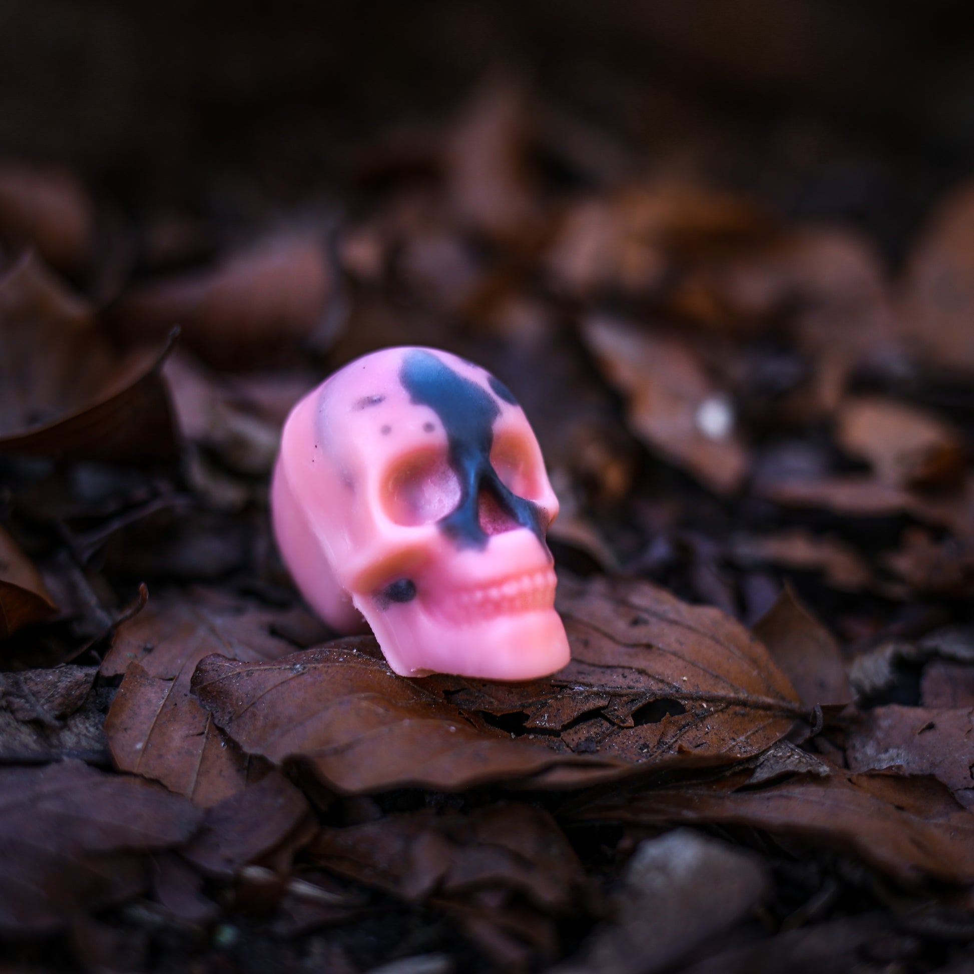 Full Skull Wax Melts