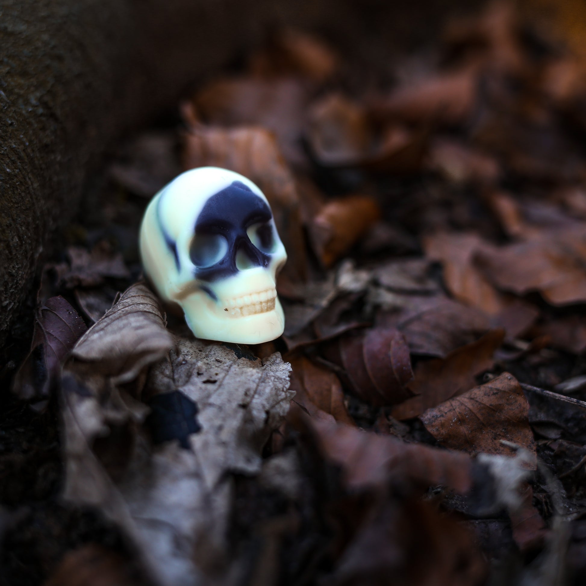 Full Skull Wax Melts