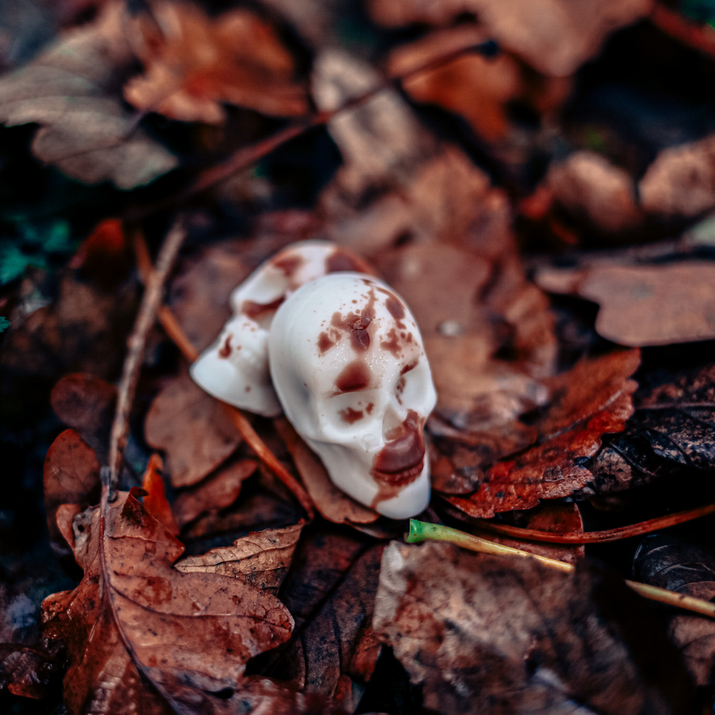 Half Skull Wax Melts