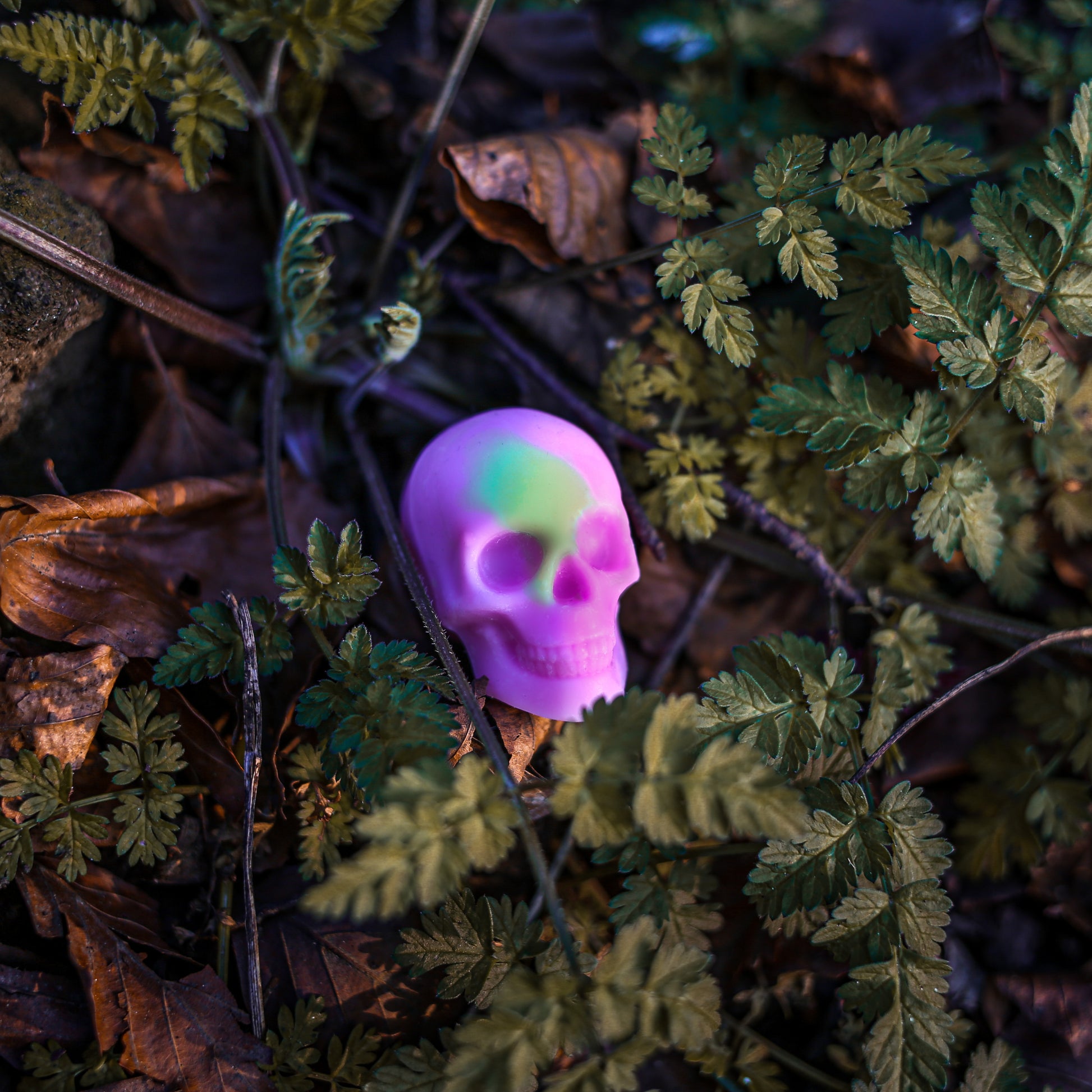 Full Skull Wax Melts